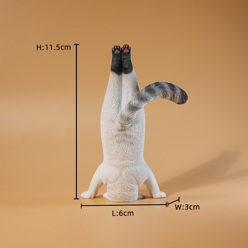 1/6 Scale Mini Simulated Fitne - مراجعة Yoga Fitness First وسعره