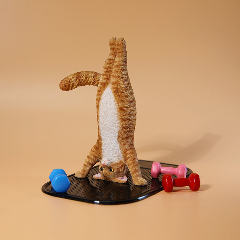 1/6 Scale Mini Simulated Fitne - مراجعة Yoga Fitness First وسعره