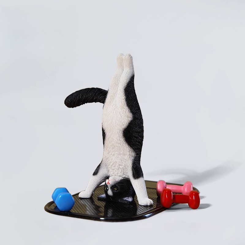 1/6 Scale Mini Simulated Fitne - مراجعة Yoga Fitness First وسعره
